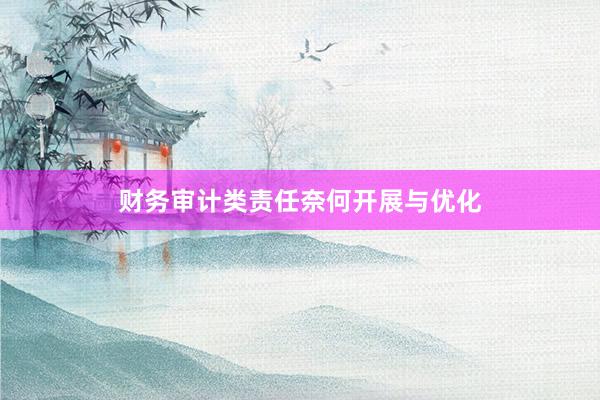 财务审计类责任奈何开展与优化