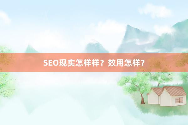 SEO现实怎样样？效用怎样？